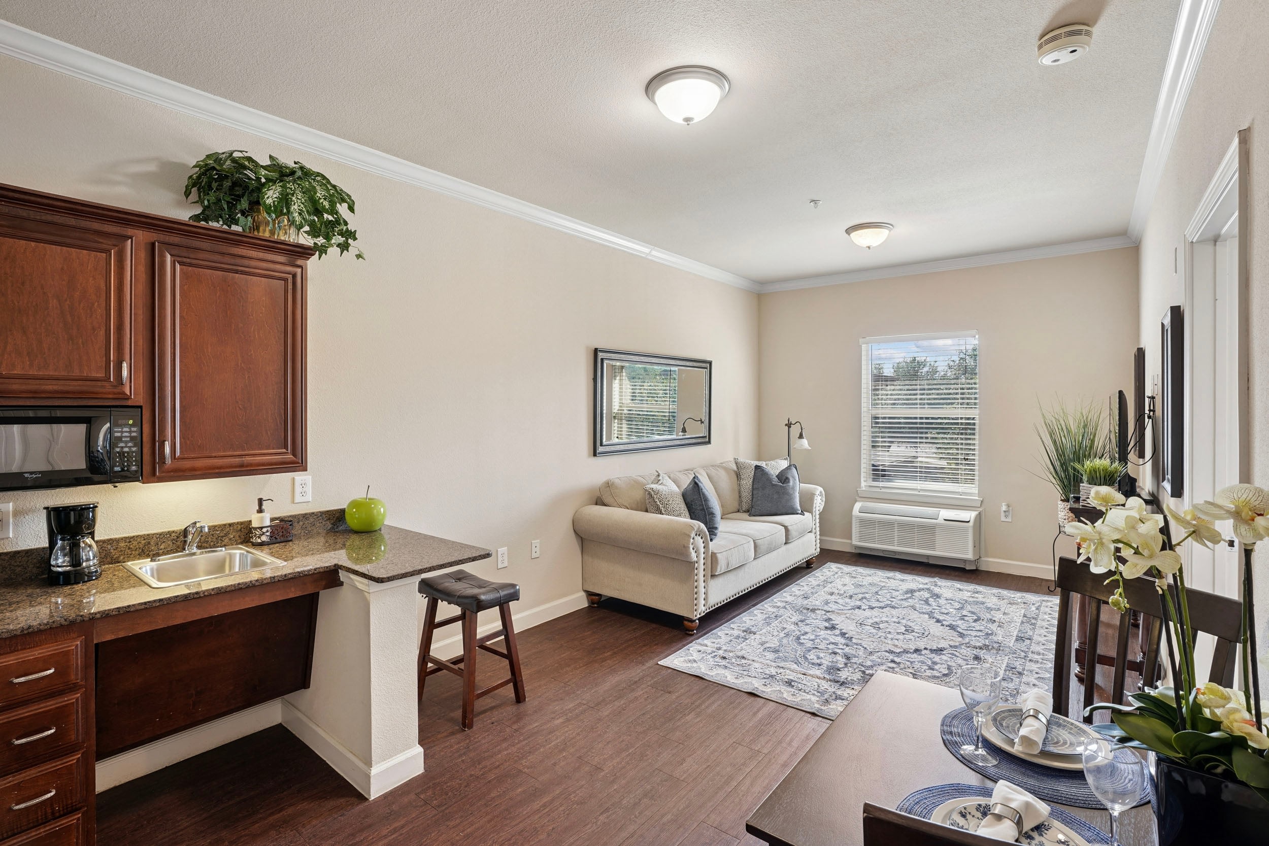 Cozy living space featuring a modern kitchen with dark wood cabinets, a granite countertop, and a small dining area. The room includes a comfortable sofa, decorative pillows, a stylish area rug, and large windows providing natural light. Ideal for apartment listings or home decor inspiration.