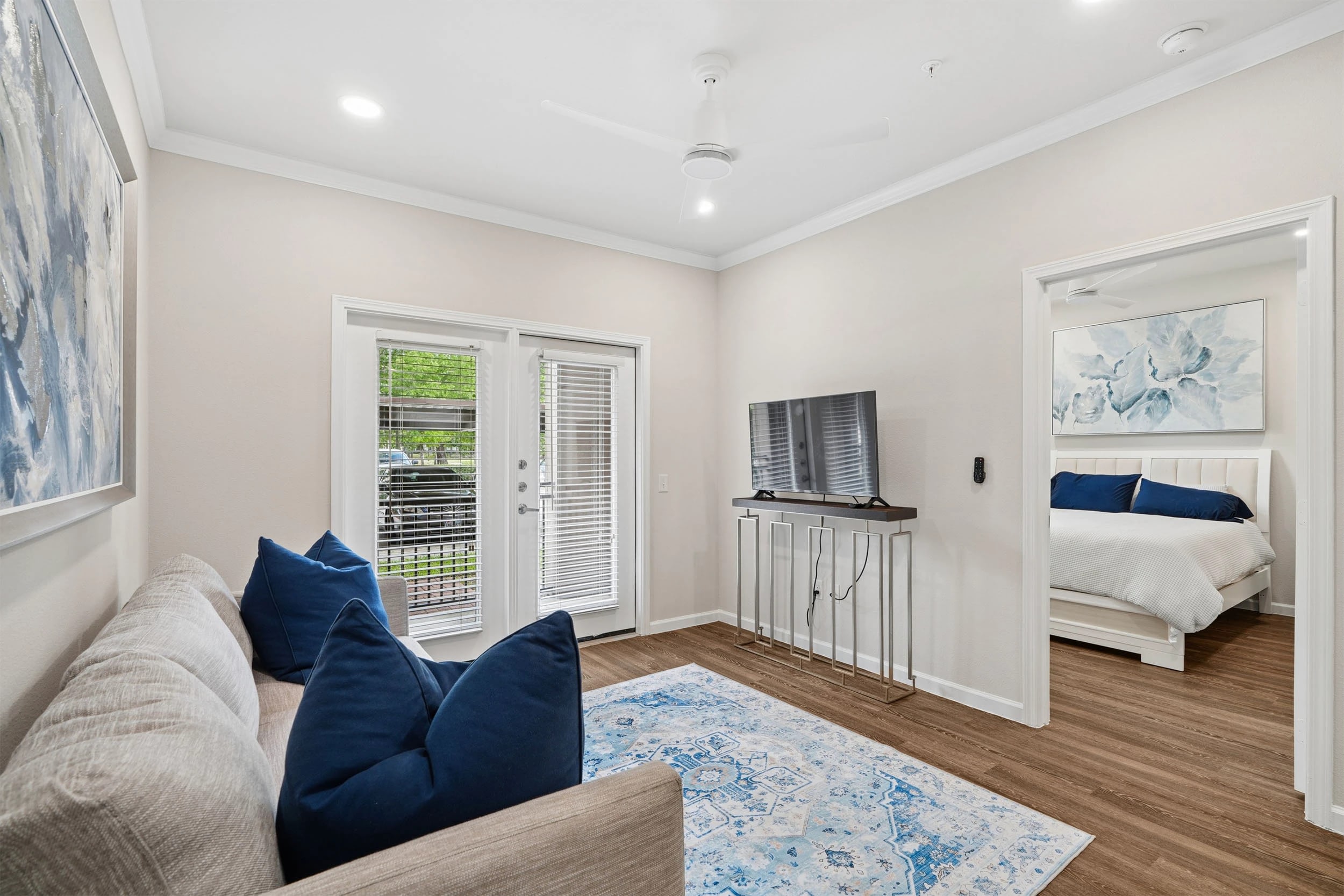 Modern living room with sofa and TV