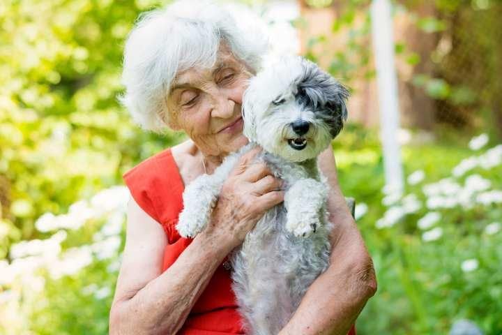 Senior woman in red top holding and smiling at a small white and gray dog outdoors